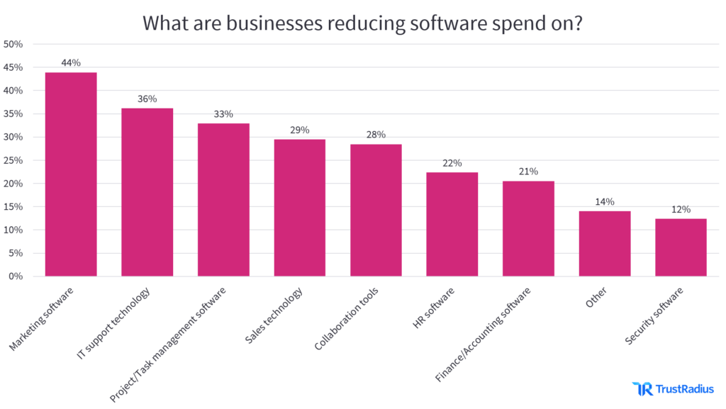 What are busineses reducing software spend on?